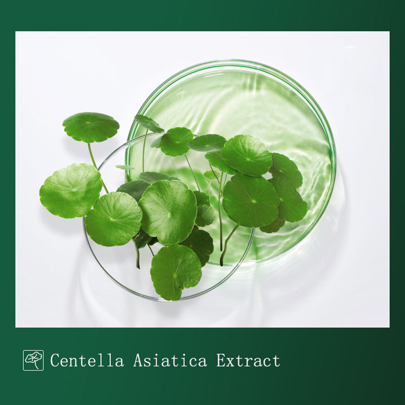 8 Pcs Centella พุดดิ้งหน้ากากม - Dust Mask Construction บทวิจารณ์และราคา